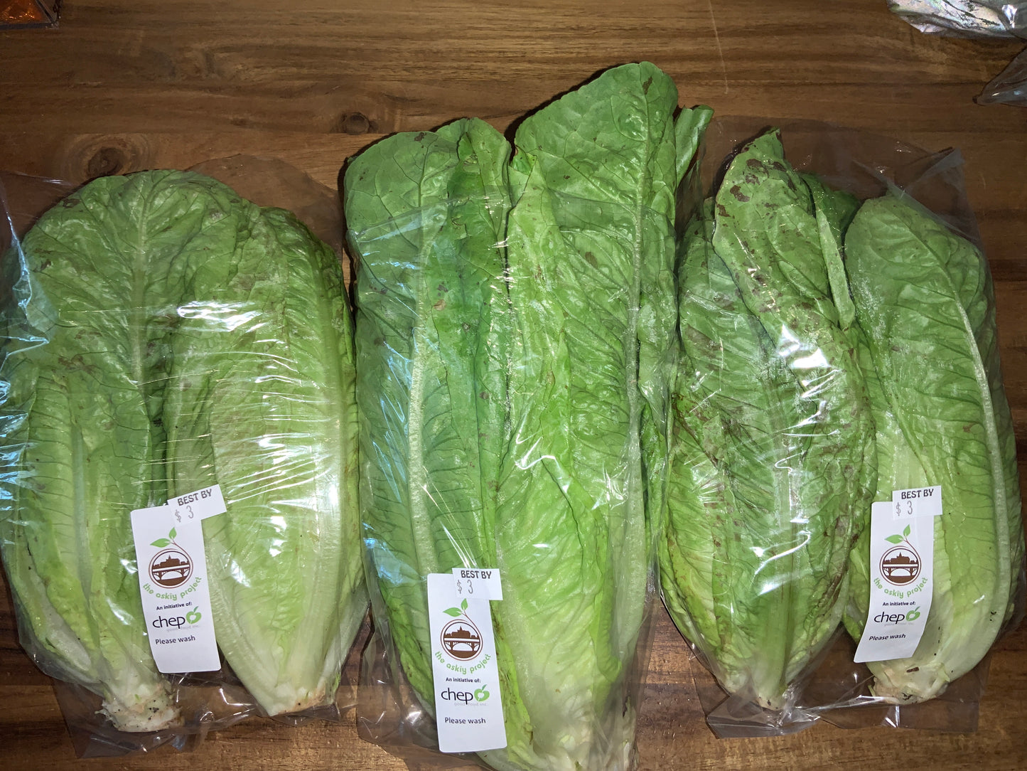 Chep - Lettuce