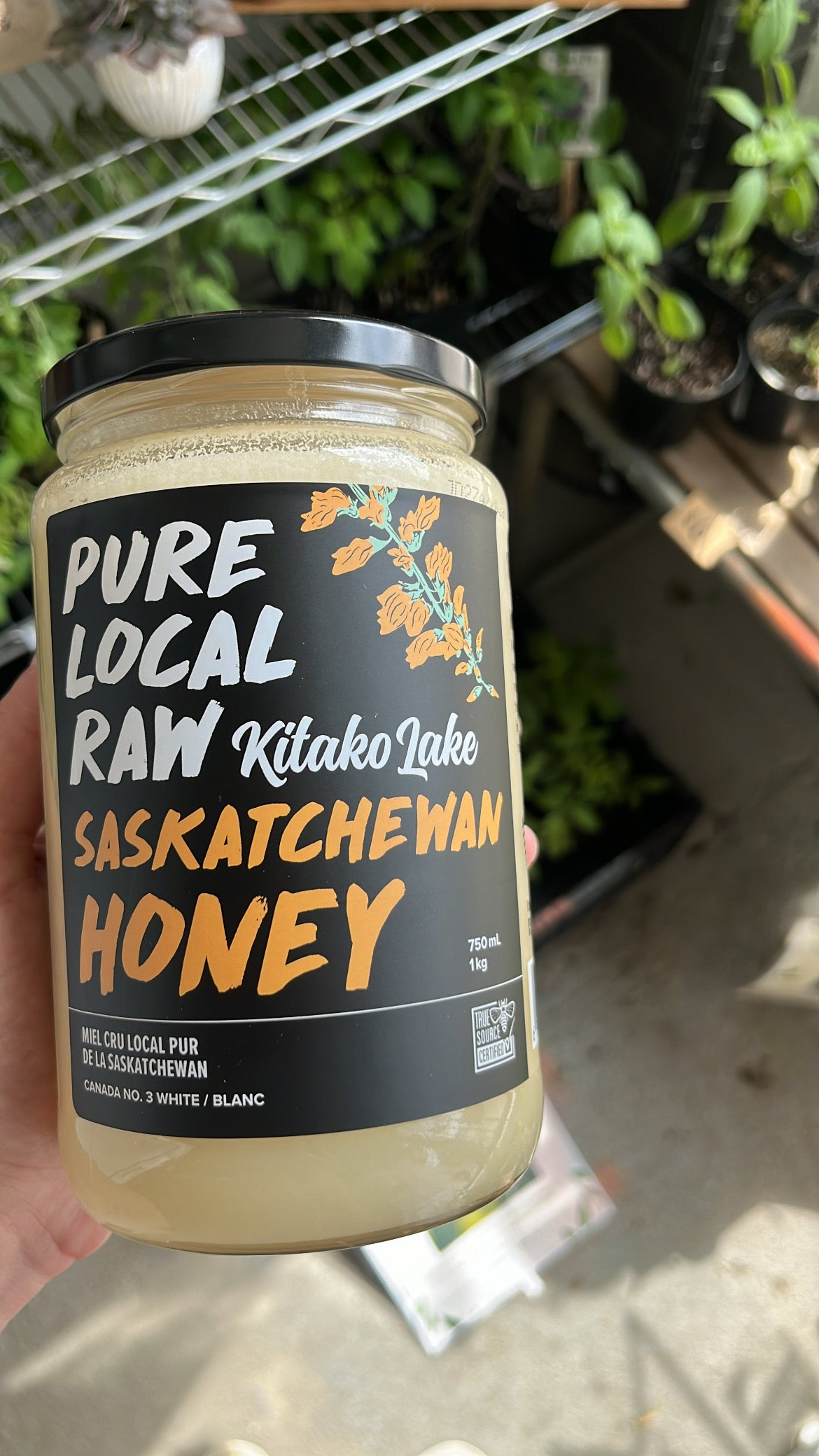 Kitako Lake Honey - 1kg Raw Honey (All proceeds going to Friendship Inn)