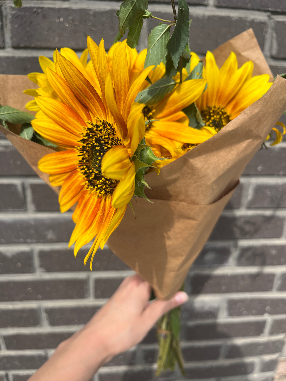 Botanicals On 8th - Fresh Flower Bouquets $12