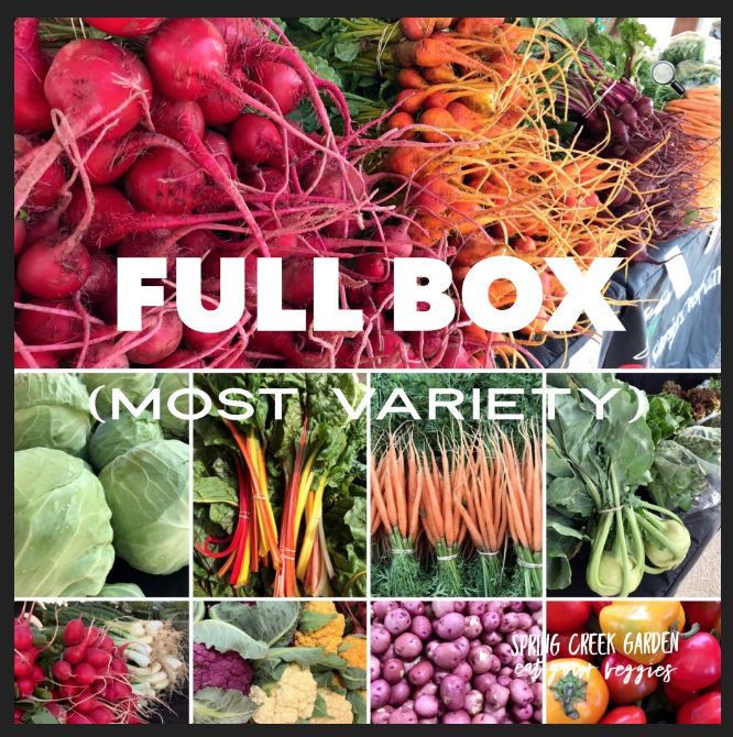 Spring Creek Garden - CSA Program - Full Box (10 weeks) DELIVERY