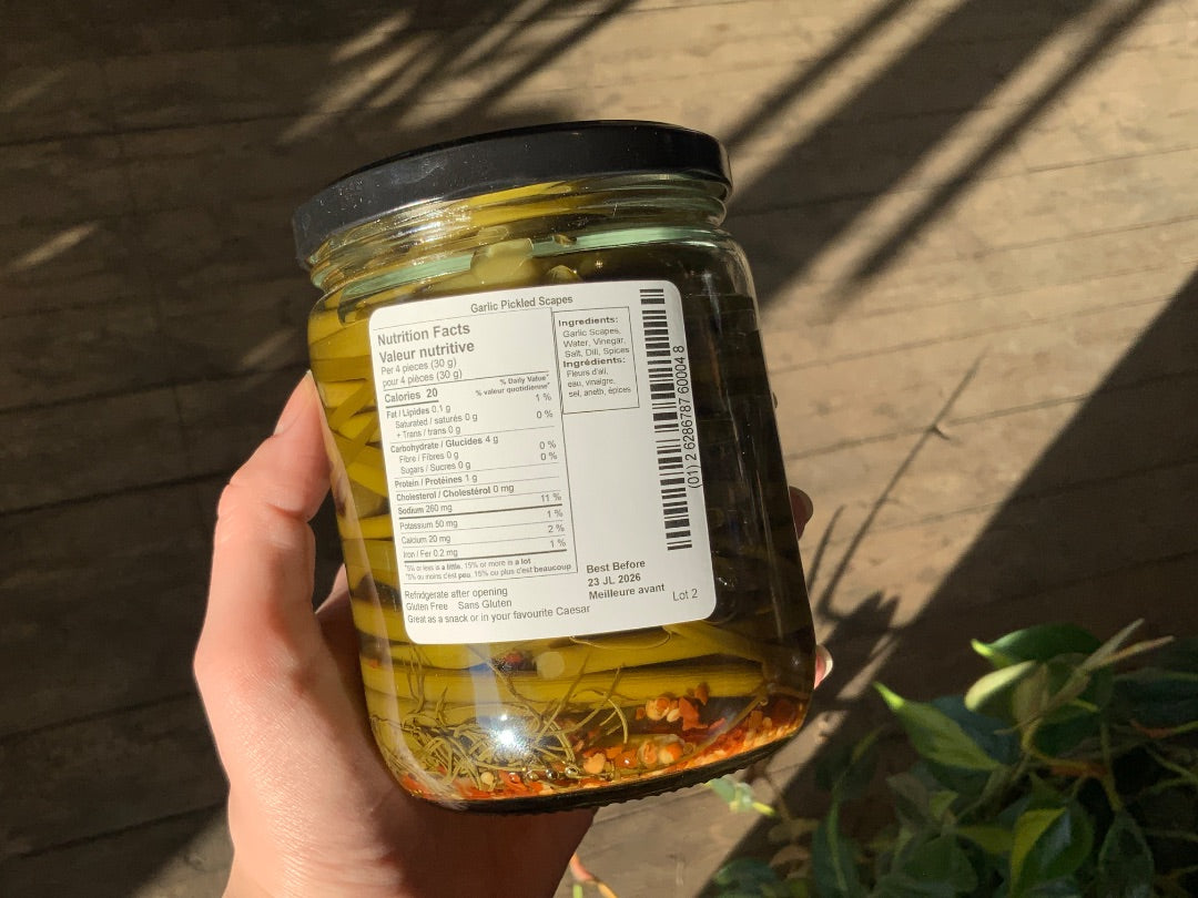 Dam Good Garlic - Pickled Garlic Scapes