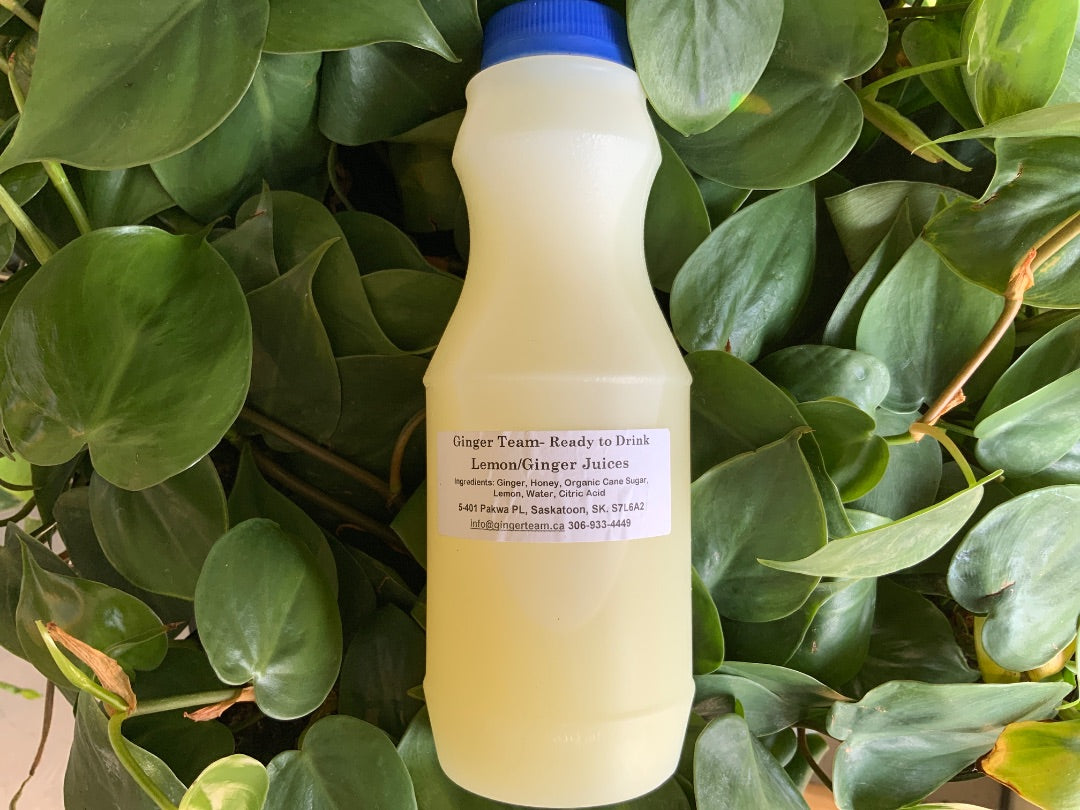 Ginger Guys - Ready To Drink - Lemon & Ginger Juice