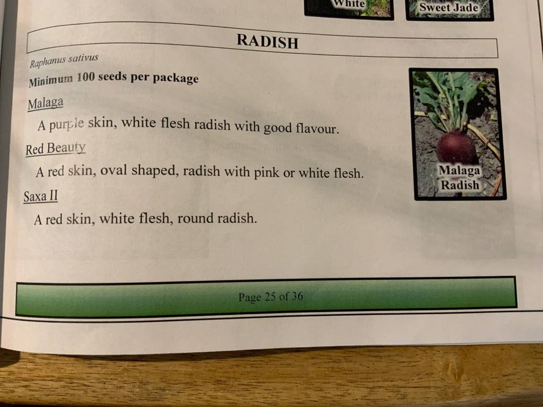 Ava’s Seeds - Radish