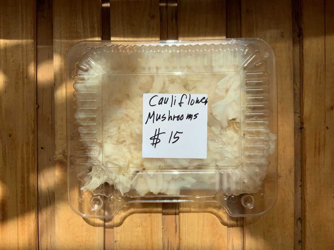 Brian's Mushrooms & More - Cauliflower Mushroom Clamshell