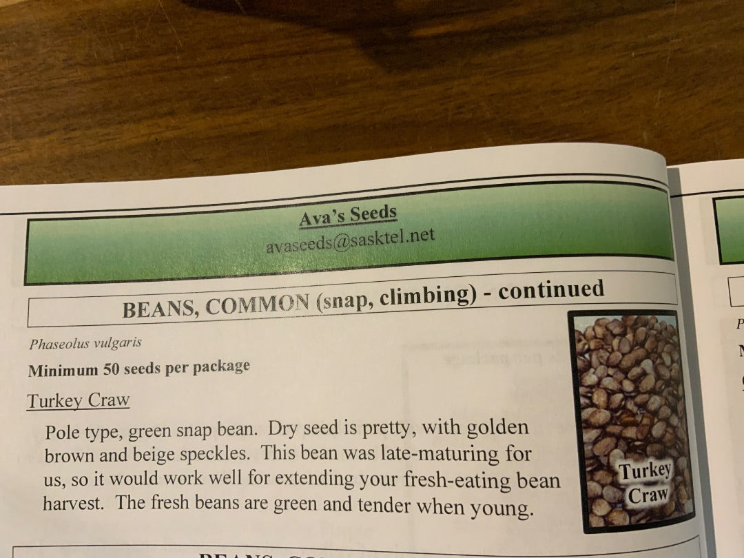 Ava’s Seeds - Beans (Pole)