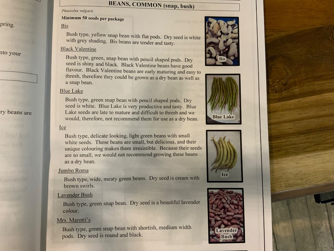 Ava’s Seeds - Beans (Green, Snap, Bush)