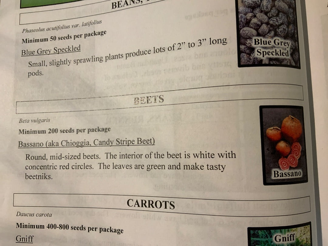 Ava’s Seeds - Beets