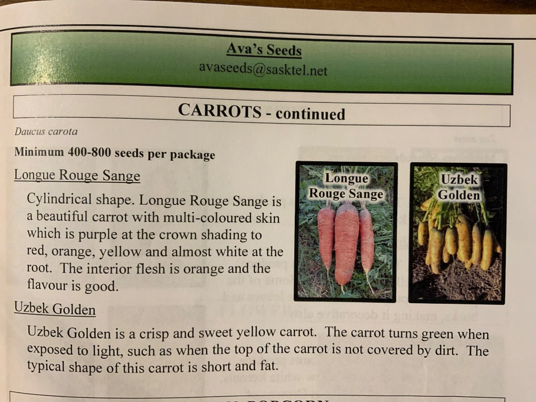 Ava’s Seeds - Carrots