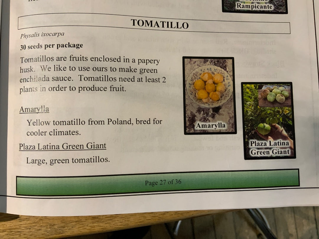 Ava’s Seeds - Tomatillo