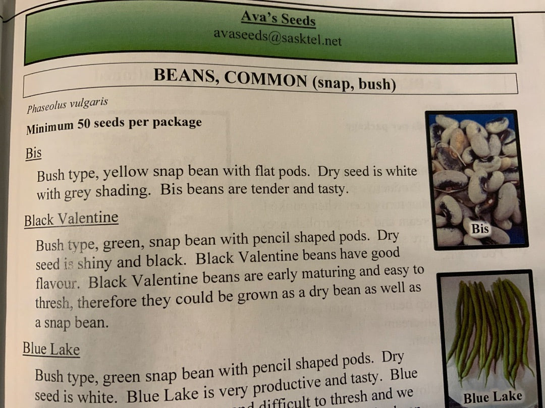 Ava’s Seeds - Beans (Yellow, Snap, Bush)