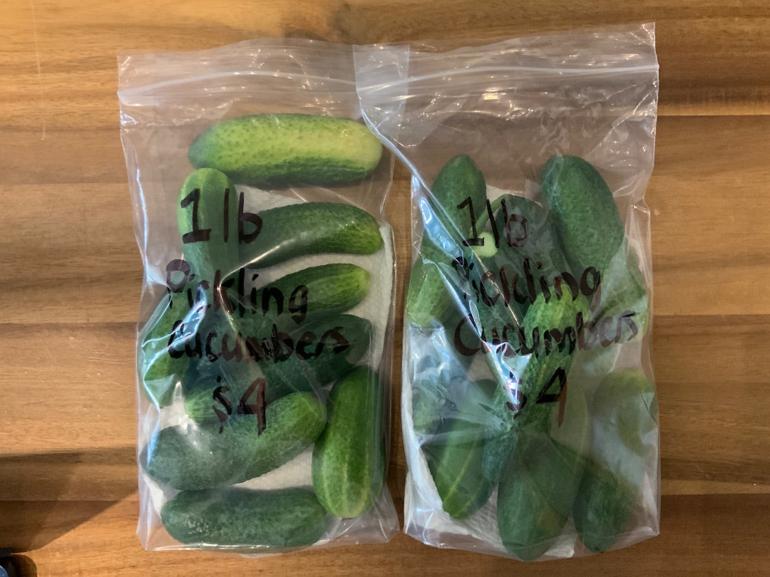Cooks Country Farm - 1lb Pickling Cucumbers