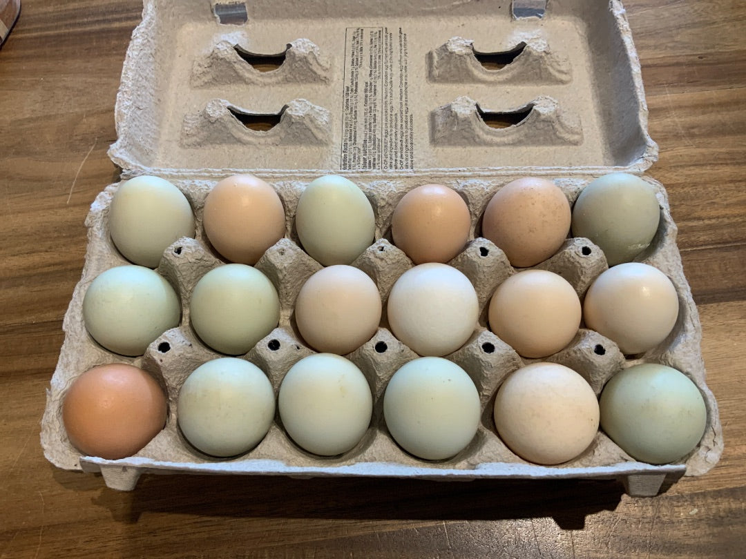 Rainbow Ridge - 18 Small Eggs