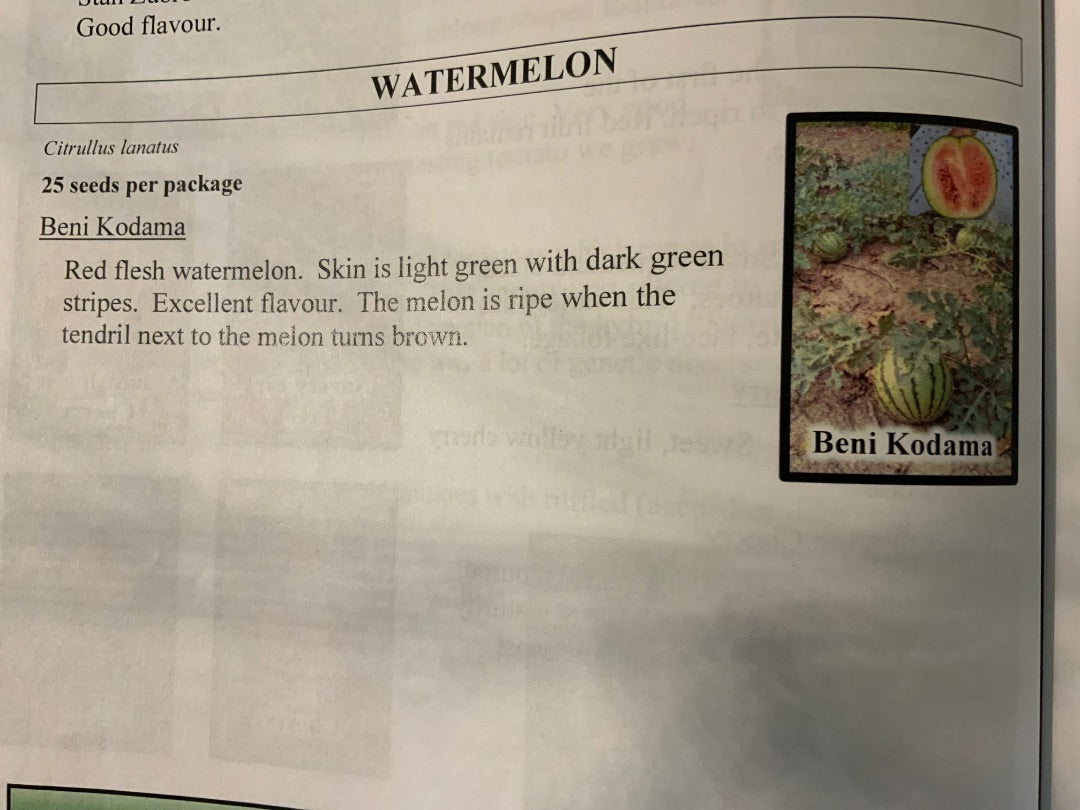 Ava’s Seeds - Melons