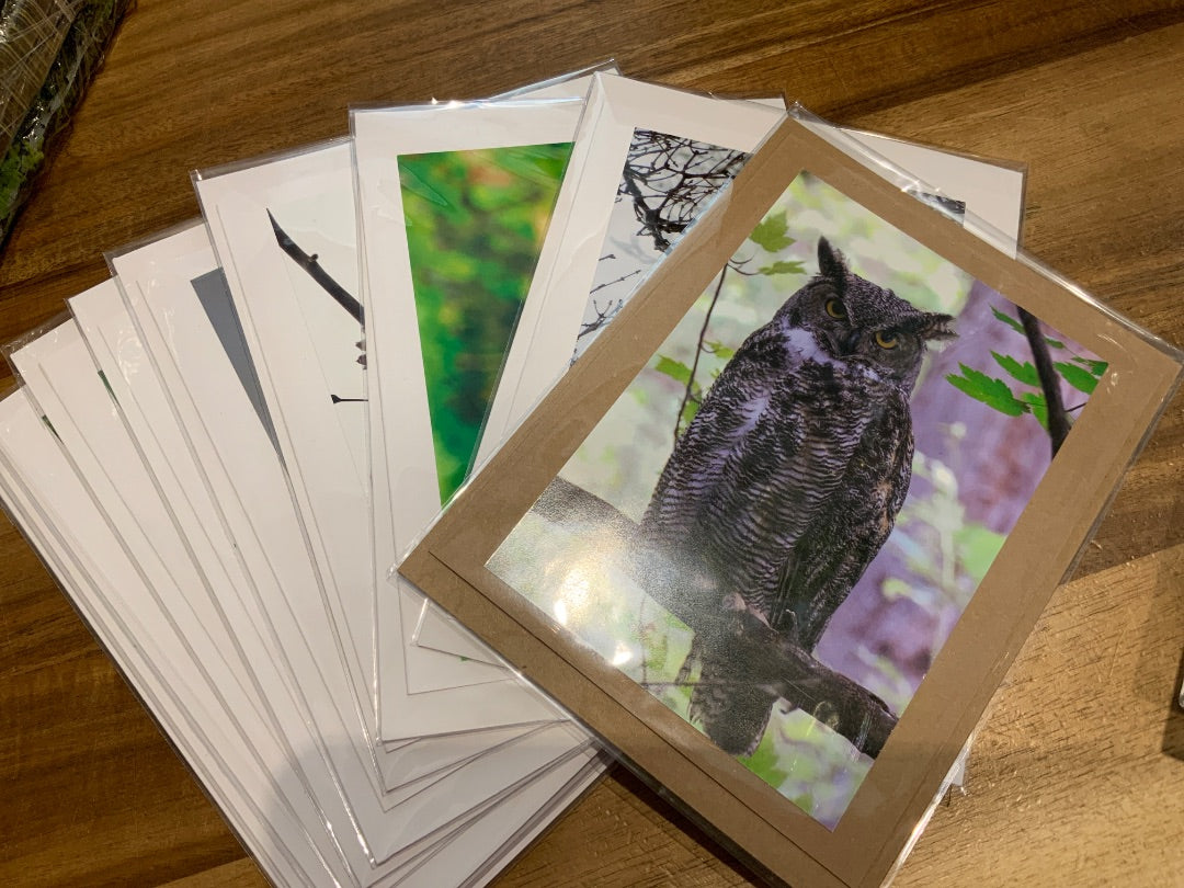 Tia Gagne Art - Single - Photography Greeting Card