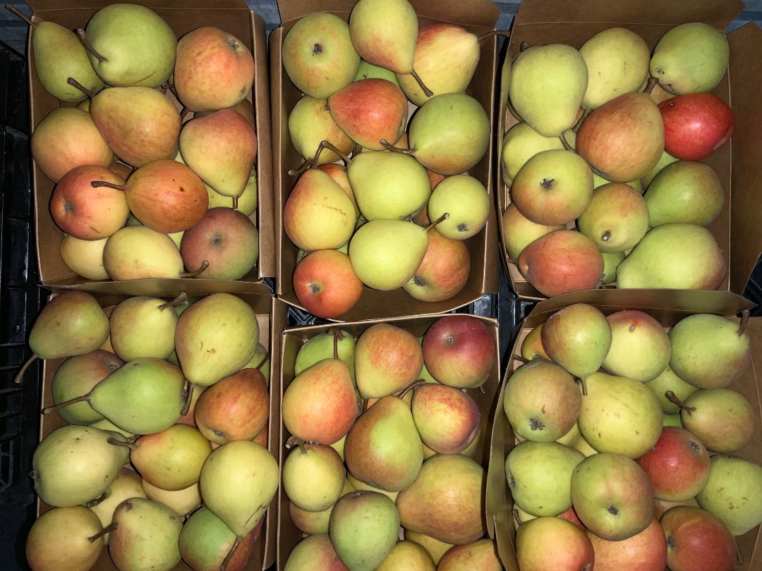 Botanicals On 8th - Local Organic Pears - Kilo