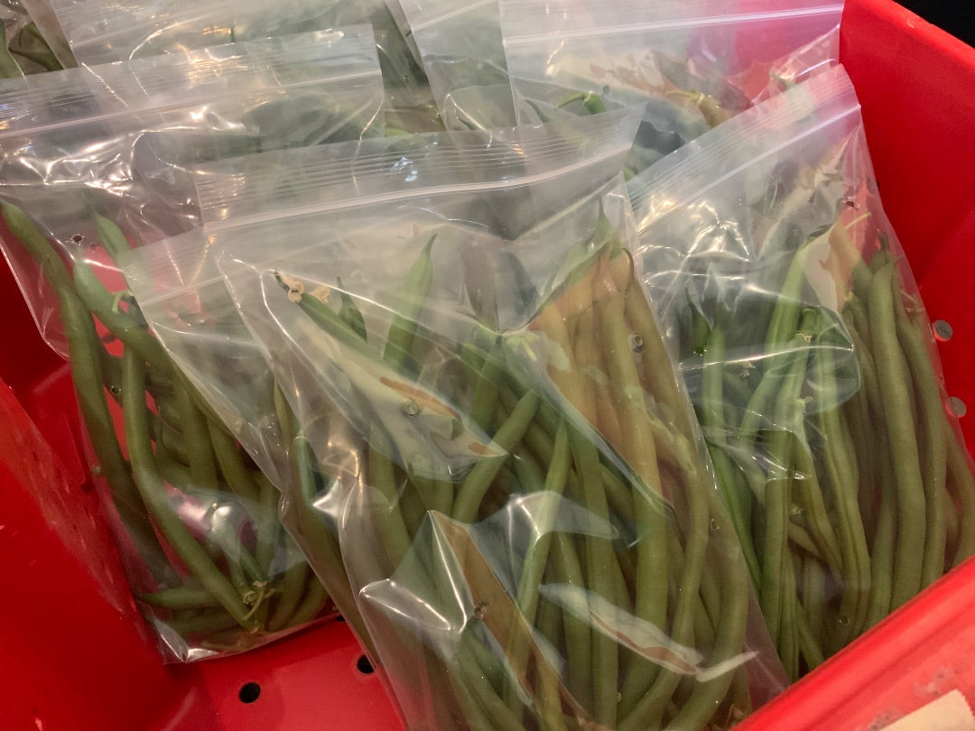 Floating Gardens - Green Bean - 1/2 lb