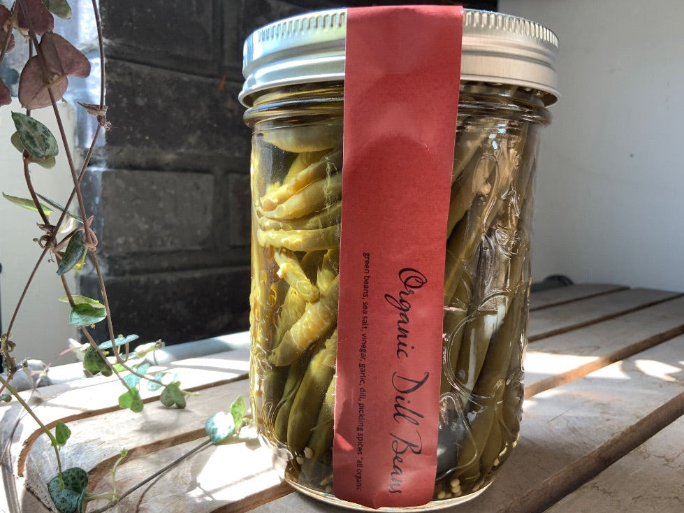 Pique - Dill Beans - 500ml
