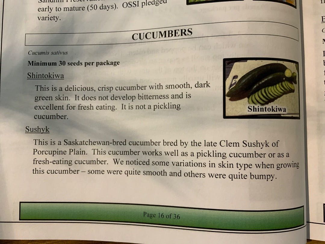 Ava’s Seeds - Cucumbers