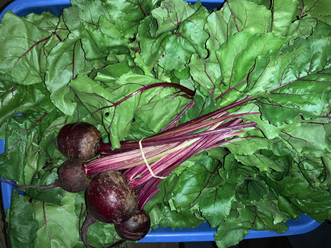 Chep - Beet Bunch