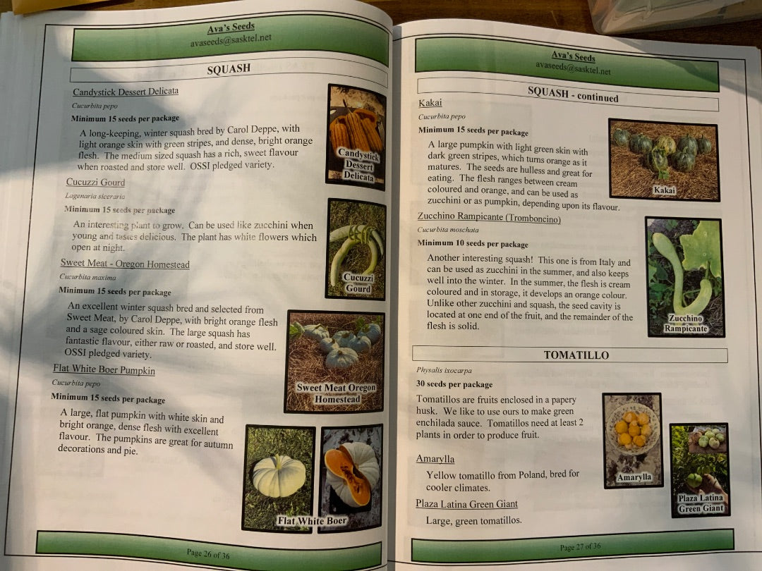 Ava’s Seeds - Squash