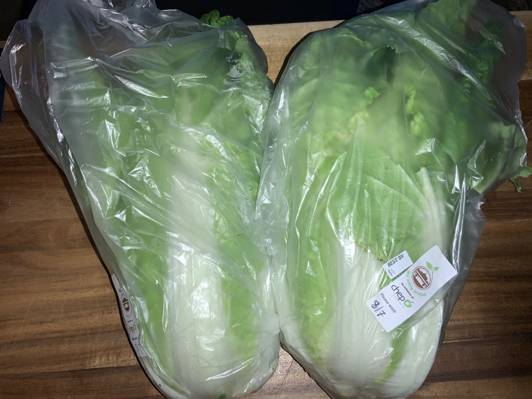 Chep - Napa Cabbage - Small