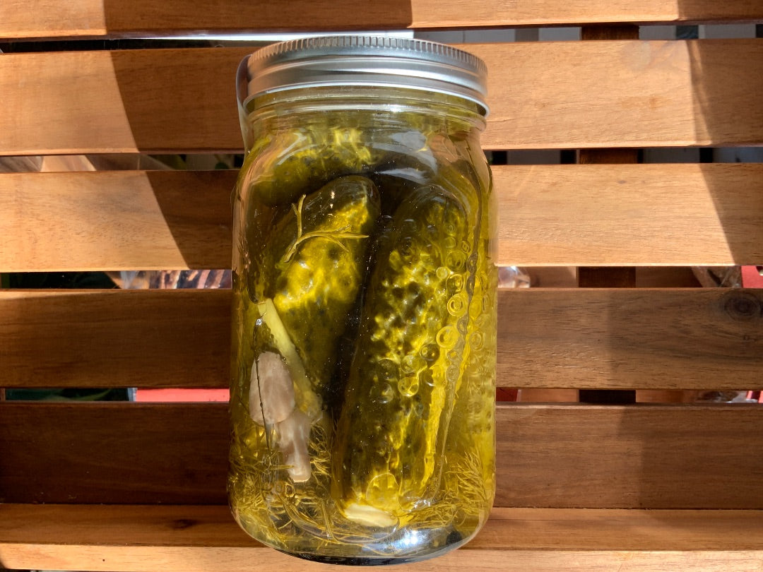 Pique - Organic Dill Pickles - 1L