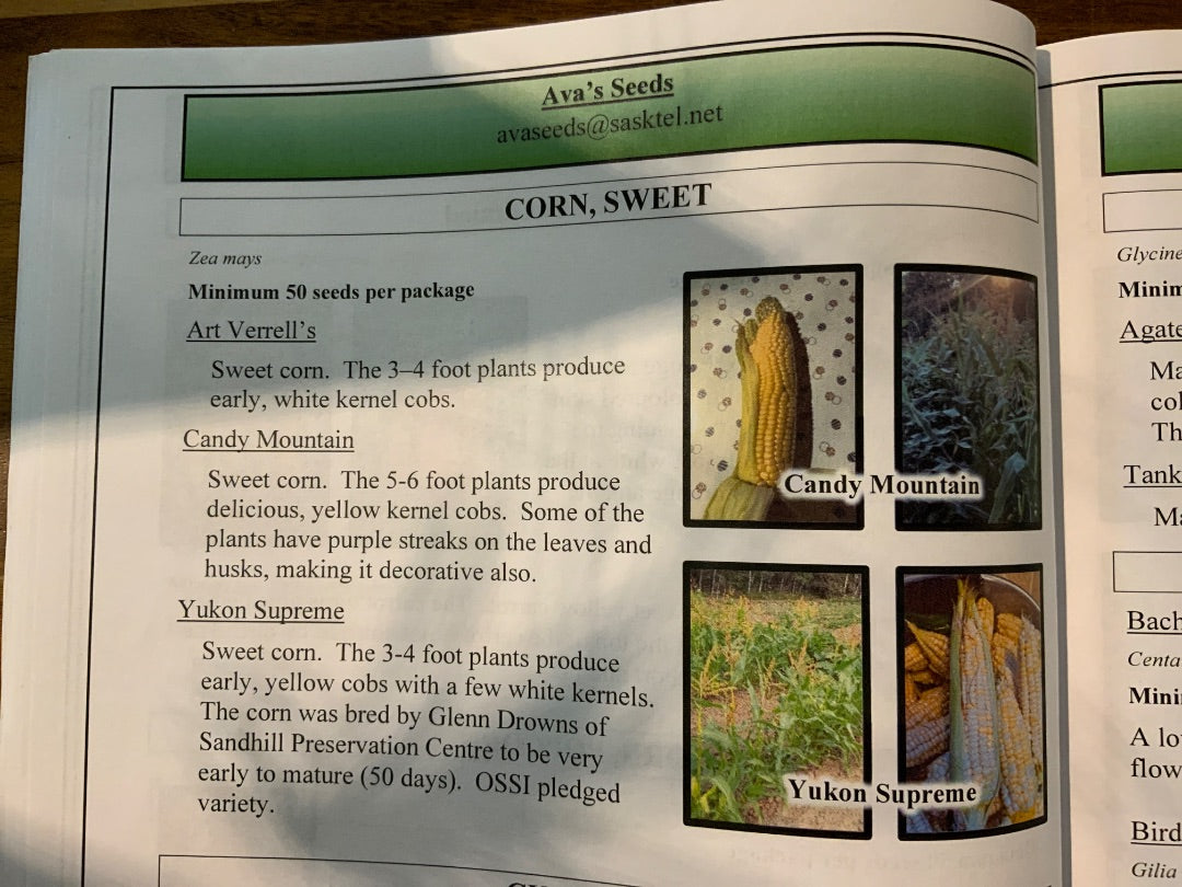 Ava’s Seeds - Corn