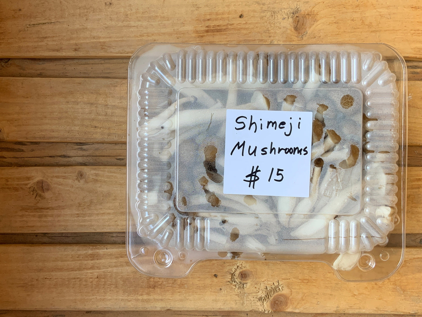 Brian's Mushrooms & More - Shimeji Mushrooms