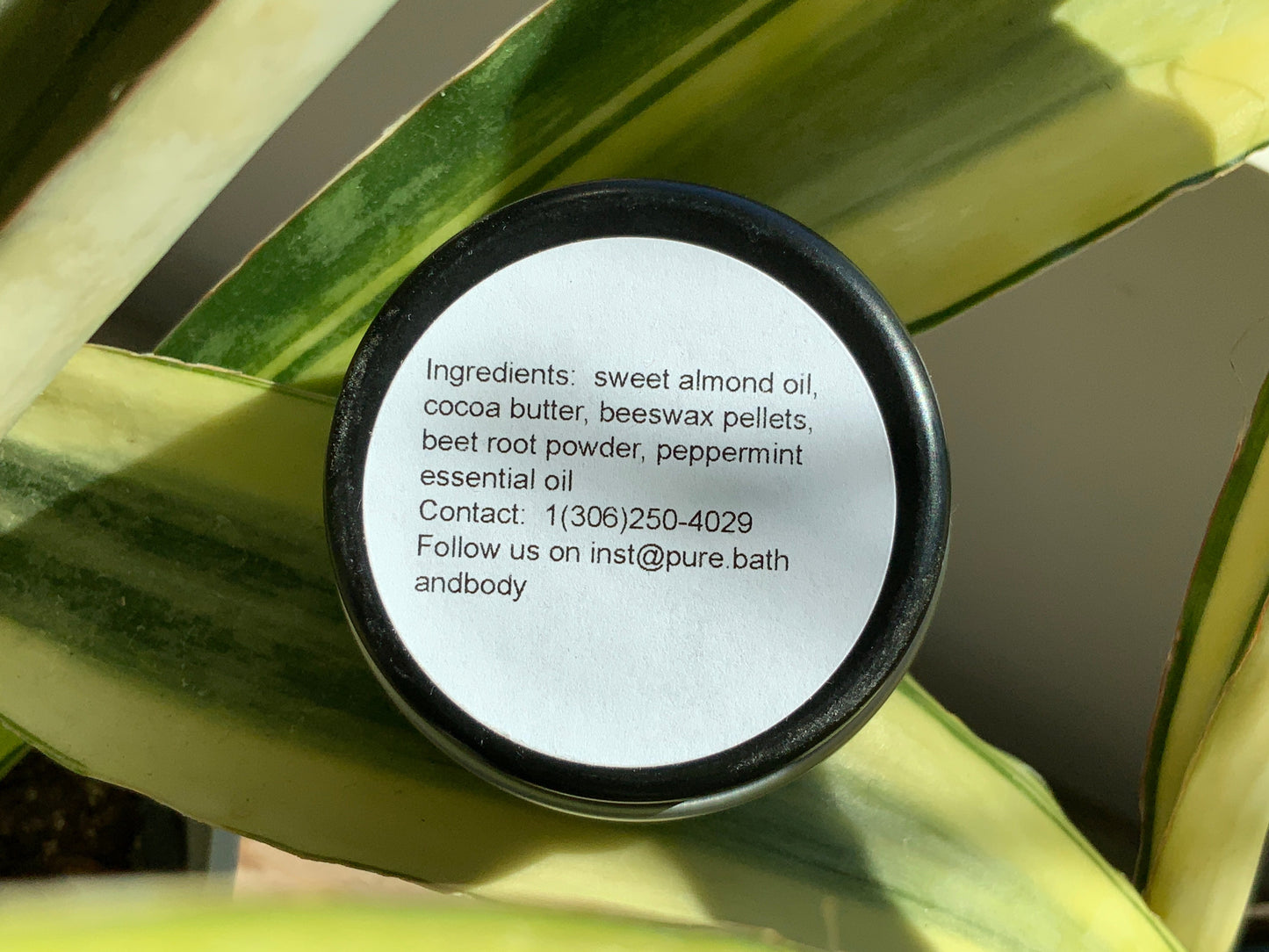 Pure Bath & Body - Lip Balm - Beet Root & Mint
