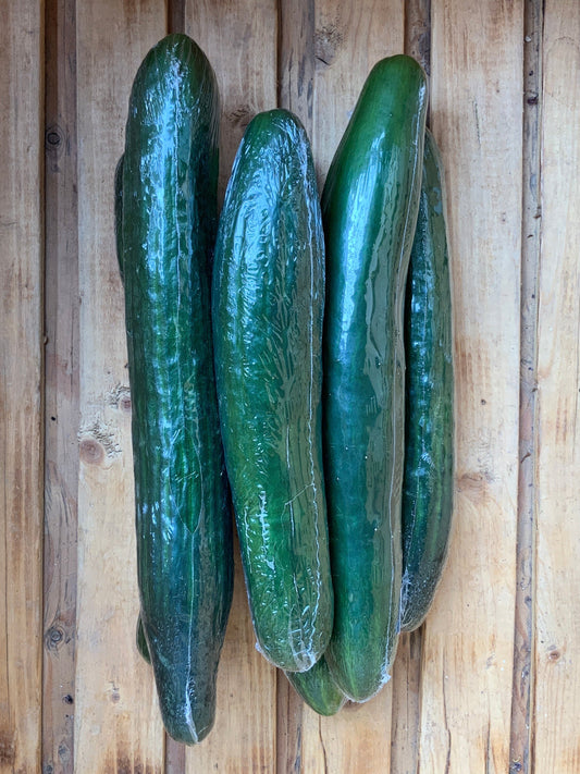 Cooks Country Farm - Long English Cucumber