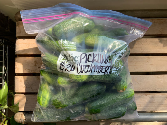 Cooks Country Farm - 5lb Pickling Cucumbers