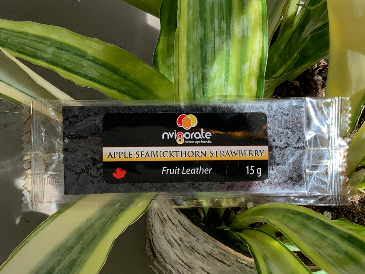 Nvigorate - Fruit Leather