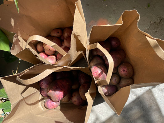Cooks Country Farm - 5lb Purple Viking & Red Norland Potatoes