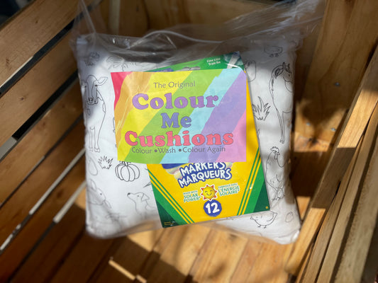 Colour Me Cushions - Pillows