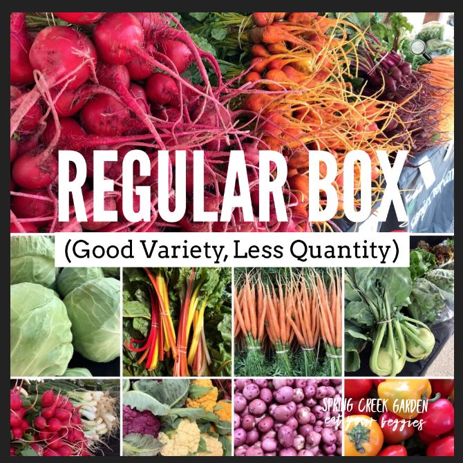 Spring Creek Garden - CSA Program - Regular Box (10 weeks) DELIVERY