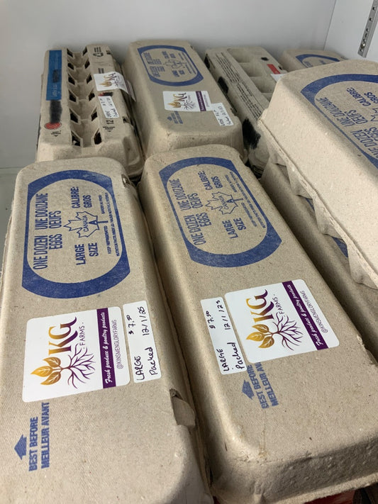 Kinsmen Glory Farms - Eggs