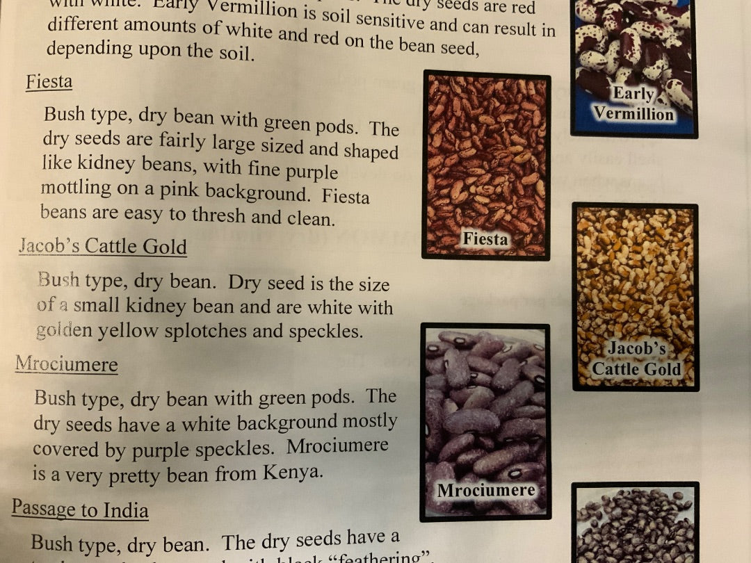 Ava’s Seeds - Beans (Dry)