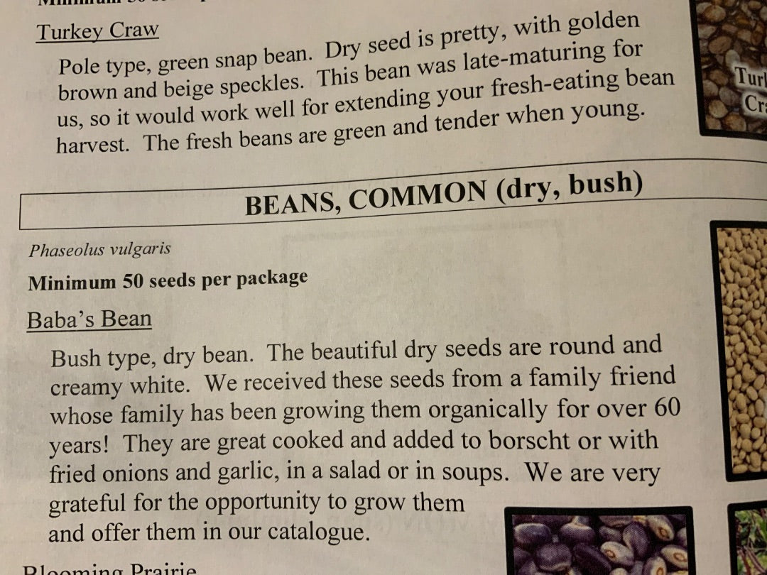 Ava’s Seeds - Beans (Dry)