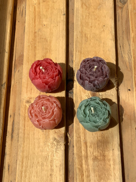 Five of Hearts - Closed Peony