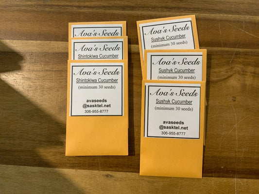 Ava’s Seeds - Cucumbers