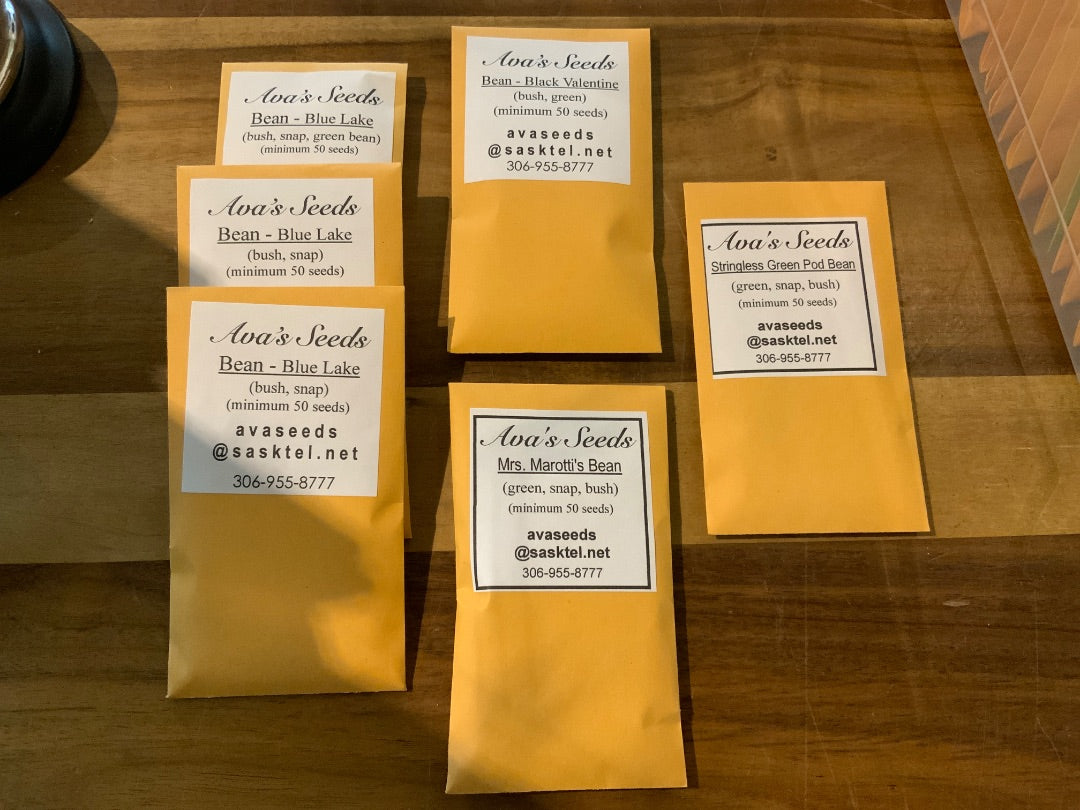 Ava’s Seeds - Beans (Green, Snap, Bush)
