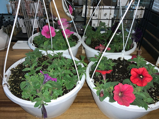 Cooks Country Farm - Hanging Flower Basket