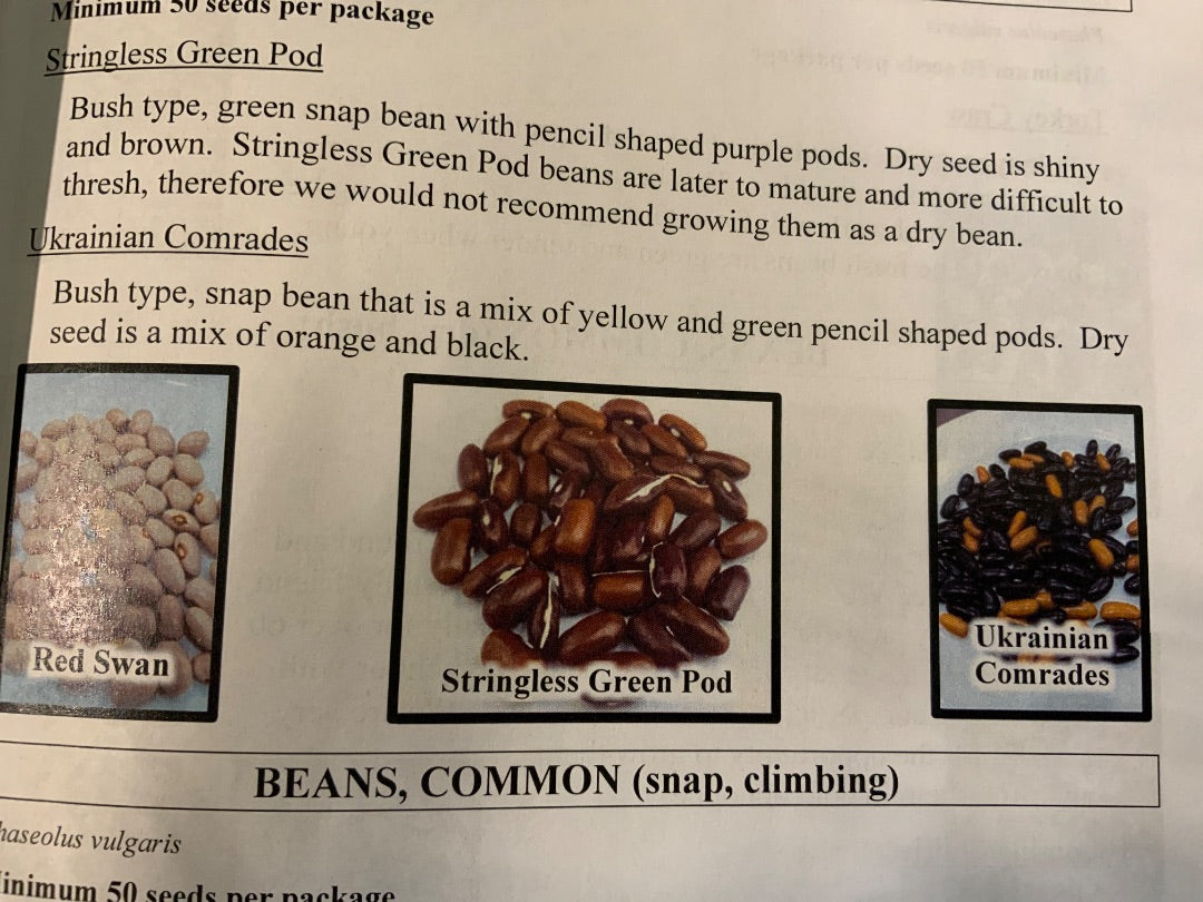 Ava’s Seeds - Beans (Yellow, Snap, Bush)