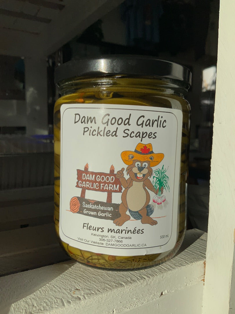 Dam Good Garlic - Pickled Garlic Scapes