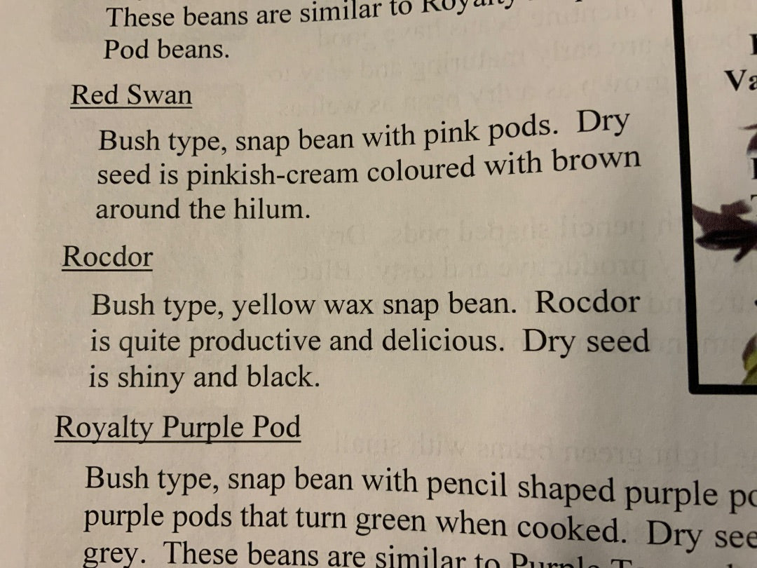 Ava’s Seeds - Beans (Yellow, Snap, Bush)
