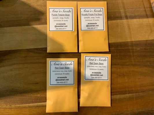 Ava’s Seeds - Beans (Purple/Red, Snap, Bush)