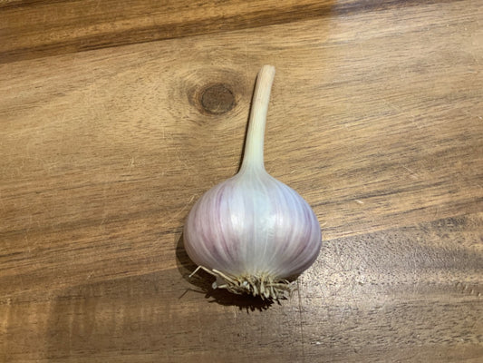 Farm One Forty - Garlic - Small
