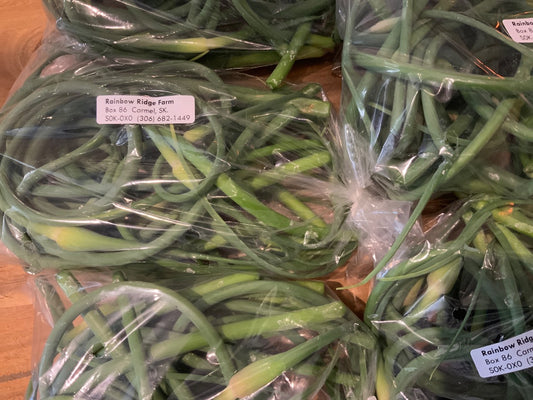 Rainbow Ridge - Garlic Scapes