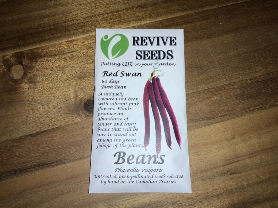 Revive Seeds - Beans - Red Swan