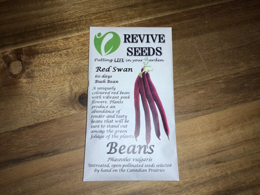 Revive Seeds - Beans - Red Swan